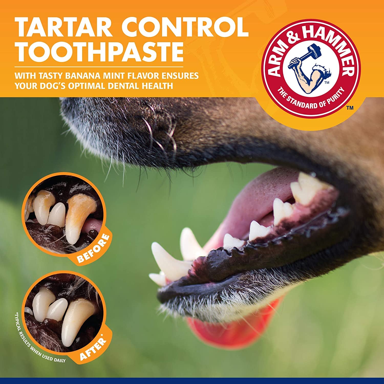 for Pets Tartar Control Dog Dental Care Kit, Dog Toothpaste Kit with Toothbrush and Finger Brush for Oral Hygiene and Fresh Breath Care, Banana Mint Flavor, 2.5 Oz, 3-Piece Kit